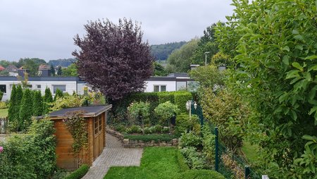 20200908_180238.jpg