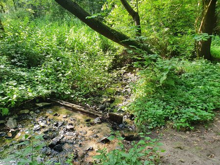 20200722_103828.jpg