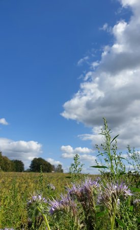 20200910_142141_1.jpg