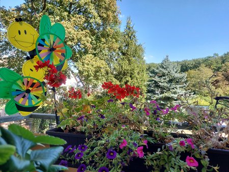 Galaxy S10 lite Automatik, HDR Automatisch .jpg