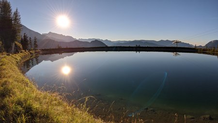 IMG_20200904_182355.jpg