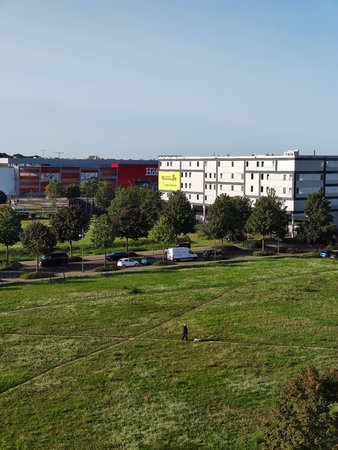 MVIMG_20200911_085528.jpg
