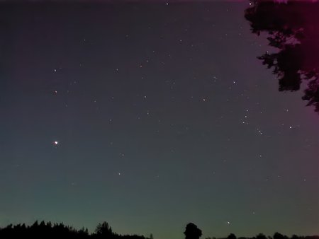 IMG_20200907_051718.jpg