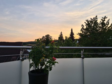 20200913_193413.jpg