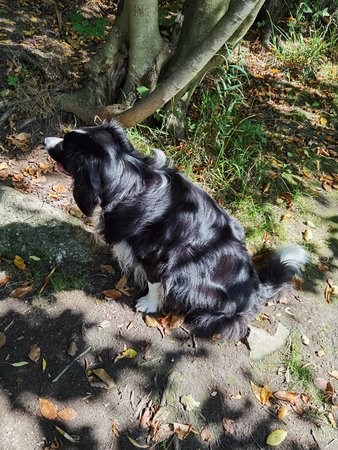 IMG_20200916_113838.jpg