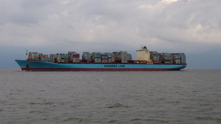 DSC_0311.jpg