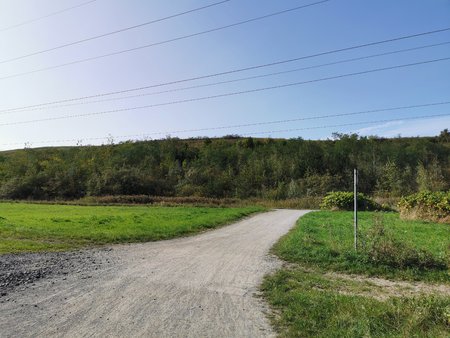 IMG_20200917_155014.jpg