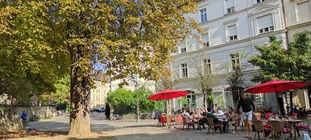 IMG_20200918_154936.jpg