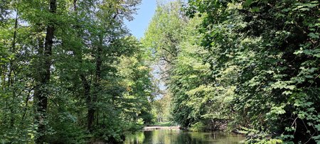 IMG_20200918_145335.jpg