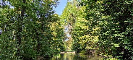 IMG_20200918_145302.jpg