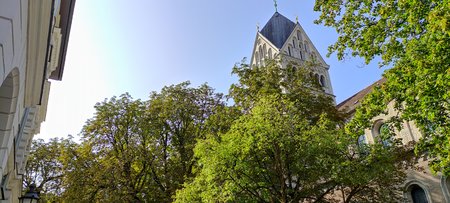 IMG_20200918_154756.jpg