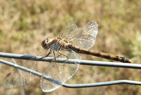 20200919_155754_1.jpg
