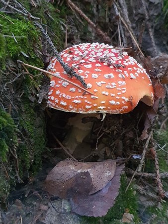 20200921_185759.jpg
