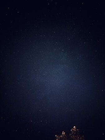 503F9906-D4E7-4D31-B405-F74FEBB53491.jpeg
