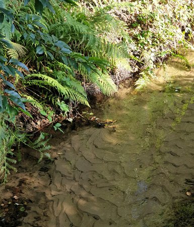 20200922_103705_1.jpg