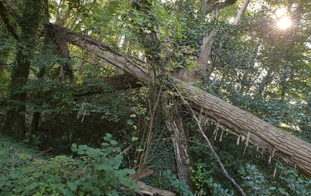 20200922_104425_1.jpg