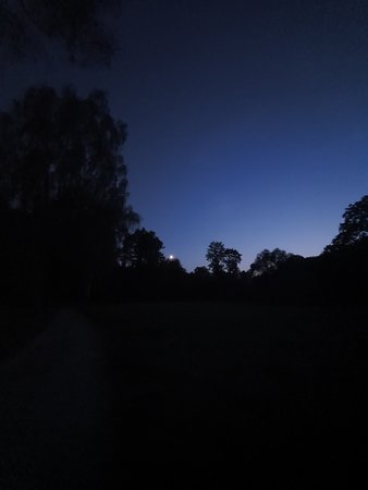 20200922_194746.jpg