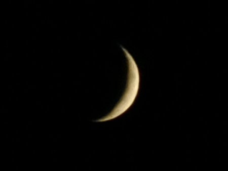IMG_20200920_203113.jpg