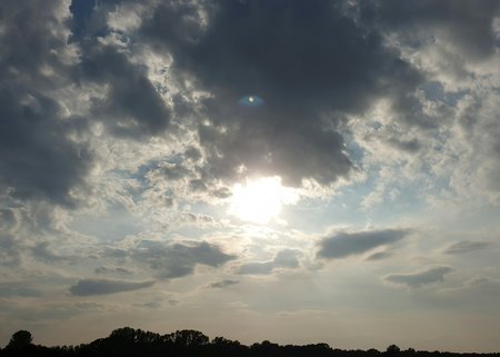 20200923_170654_1.jpg