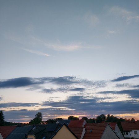 20200923_190101.jpg