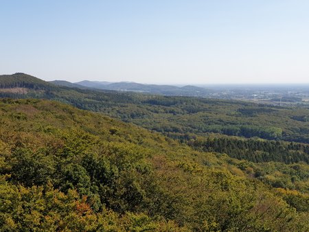 20200921_141915.jpg