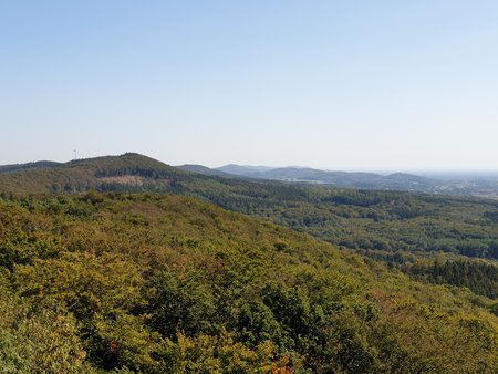 20200921_142153.jpg