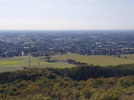 20200921_142134.jpg