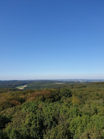 20200921_142036.jpg
