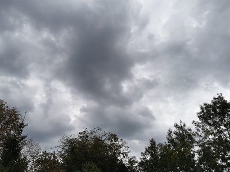 IMG_20200923_191522.jpg