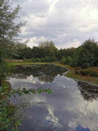 IMG_20200923_162503.jpg