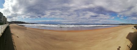 IMG_20200924_154820.jpg