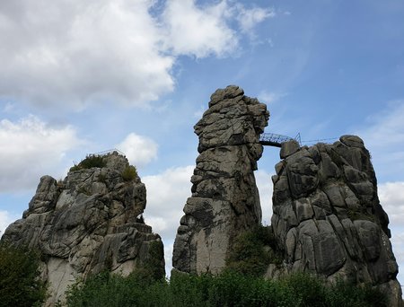 20200924_132310_1.jpg