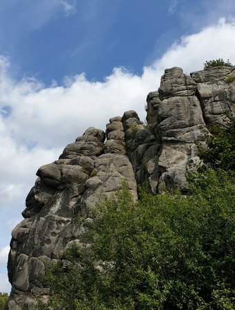 20200924_131704_1.jpg