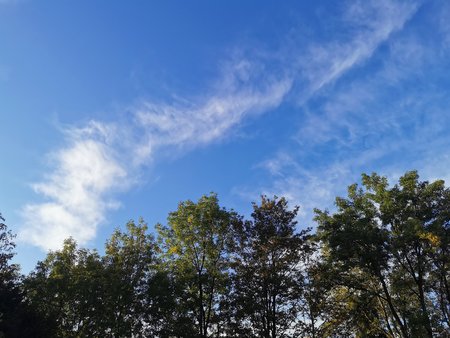 IMG_20200925_082619.jpg