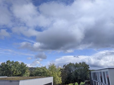 PSX_20200925_125059.jpg