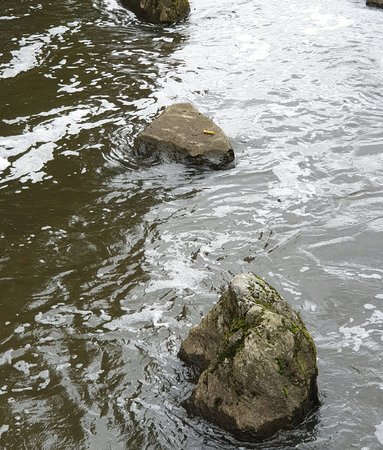 20200927_141400_1.jpg