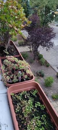 20200927_185745.jpg