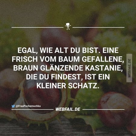 kast.jpg