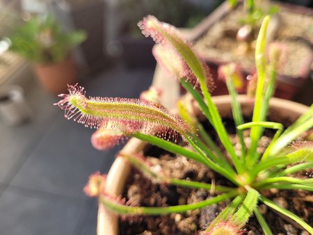 20200928_162436.jpg