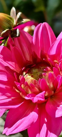 IMG_20200920_151612.jpg