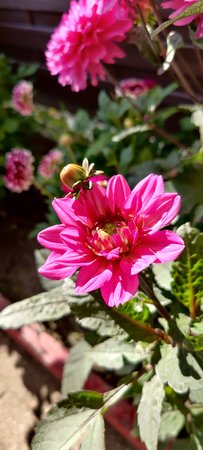 IMG_20200920_151621.jpg