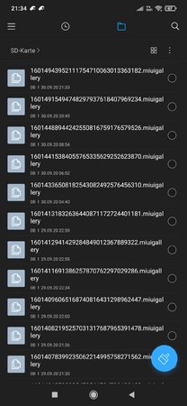 Screenshot_2020-09-30-21-34-16-435_com.mi.android.globalFileexplorer.jpg