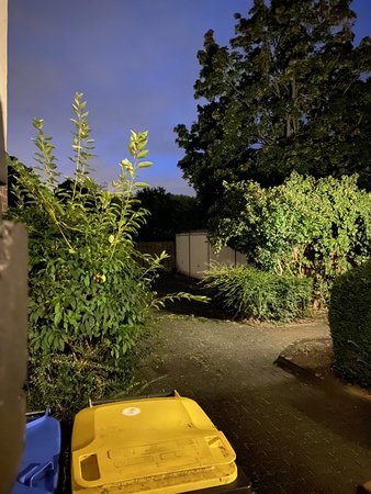 D4935E0A-0F4A-4F65-A554-59B70D1C3371.jpeg
