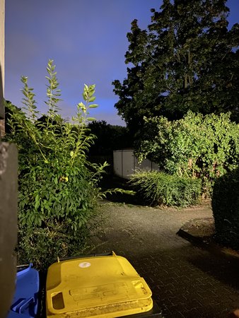 3A81DC94-24E2-4508-8E42-A3FAE543B153.jpeg