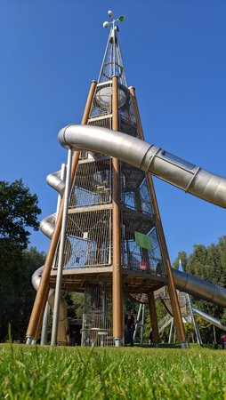 IMG_20201003_140337.jpg