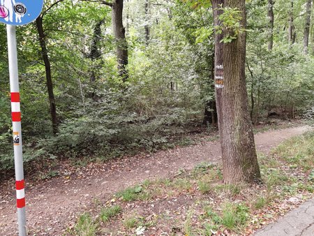 IMG_20201003_160059.jpg
