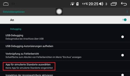 JOYING Entwickleroptionen Mock setting.jpg