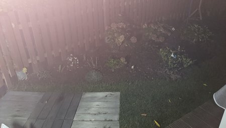 PXL_20201006_183122450.jpg
