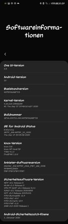 Screenshot_20201006-202921_Settings.jpg