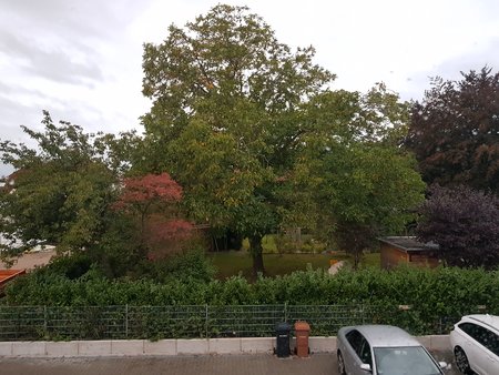 Baum-S8.jpg